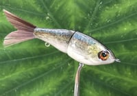 Image 3 of SPEEDBAITS Custom Airbrushed Glide Bait 2791