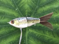 Image 5 of SPEEDBAITS Custom Airbrushed Glide Bait 2791