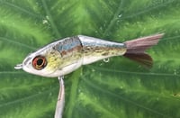 Image 6 of SPEEDBAITS Custom Airbrushed Glide Bait 2791