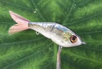 Image 7 of SPEEDBAITS Custom Airbrushed Glide Bait 2791