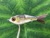Image 1 of SPEEDBAITS Custom Airbrushed Glide Bait 2791