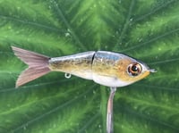 Image 2 of SPEEDBAITS Custom Airbrushed Glide Bait 2800