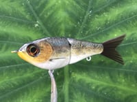 Image 3 of SPEEDBAITS Custom Airbrushed Glide Bait 2800