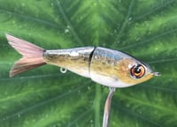 Image 4 of SPEEDBAITS Custom Airbrushed Glide Bait 2800