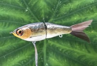 Image 5 of SPEEDBAITS Custom Airbrushed Glide Bait 2800