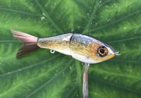 Image 6 of SPEEDBAITS Custom Airbrushed Glide Bait 2800