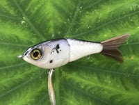 Image 1 of SPEEDBAITS Custom Airbrushed Glide Bait 2824