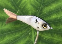 Image 2 of SPEEDBAITS Custom Airbrushed Glide Bait 2824