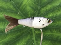 Image 3 of SPEEDBAITS Custom Airbrushed Glide Bait 2824