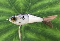Image 4 of SPEEDBAITS Custom Airbrushed Glide Bait 2824