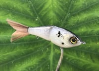 Image 6 of SPEEDBAITS Custom Airbrushed Glide Bait 2824