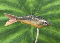 Image 3 of SPEEDBAITS Custom Airbrushed Glide Bait 2833