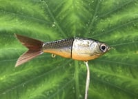 Image 8 of SPEEDBAITS Custom Airbrushed Glide Bait 2833