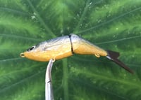 Image 10 of SPEEDBAITS Custom Airbrushed Glide Bait 2833