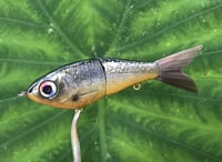 Image 1 of SPEEDBAITS Custom Airbrushed Glide Bait 2833