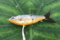 Image 7 of SPEEDBAITS Custom Airbrushed Glide Bait 2833