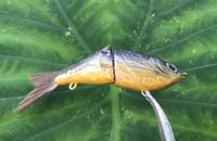 Image 9 of SPEEDBAITS Custom Airbrushed Glide Bait 2833