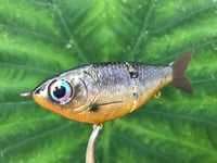 Image 4 of SPEEDBAITS Custom Airbrushed Glide Bait 2833