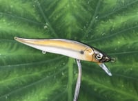 Image 2 of SPEEDBAITS Custom Airbrushed Jerkbait TA 110 2863