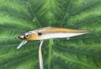 Image 4 of SPEEDBAITS Custom Airbrushed Jerkbait TA 110 2863