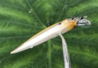 Image 5 of SPEEDBAITS Custom Airbrushed Jerkbait TA 110 2863