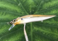 Image 6 of SPEEDBAITS Custom Airbrushed Jerkbait TA 110 2863
