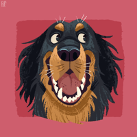 Image 1 of Kisállatportré | Pet portrait