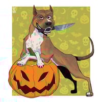 Image 2 of Teljes alakos kisállatportré | Fullbody pet portrait 