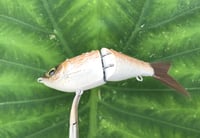 Image 6 of SPEEDBAITS Custom Airbrushed Glide Bait 3301