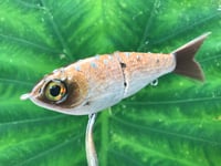 Image 7 of SPEEDBAITS Custom Airbrushed Glide Bait 3301