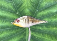 Image 1 of SPEEDBAITS Custom Airbrushed Humpback Jerkbait 3349