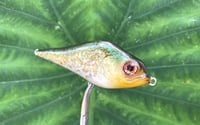Image 2 of SPEEDBAITS Custom Airbrushed Humpback Jerkbait 3349