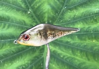 Image 5 of SPEEDBAITS Custom Airbrushed Humpback Jerkbait 3349