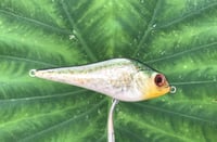 Image 6 of SPEEDBAITS Custom Airbrushed Humpback Jerkbait 3349
