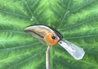 Image 2 of SPEEDBAITS Custom Airbrushed Crankbait 3403