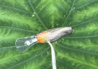 Image 6 of SPEEDBAITS Custom Airbrushed Crankbait 3403
