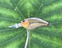 Image 5 of SPEEDBAITS Custom Airbrushed Crankbait 3403