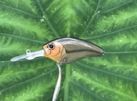 Image 1 of SPEEDBAITS Custom Airbrushed Crankbait 3403