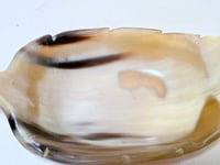 Image 7 of Coupelle feuille en corne de buffle – Fait main, vintage années 70/80 – vide-poches