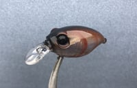Image 12 of SPEEDBAITS Custom Airbrushed Crankbait BFS 3487