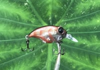 Image 4 of SPEEDBAITS Custom Airbrushed Crankbait BFS 3487