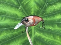 Image 3 of SPEEDBAITS Custom Airbrushed Crankbait BFS 3487