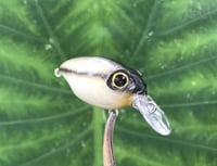 Image 2 of SPEEDBAITS Custom Airbrushed Crankbait BFS 3538