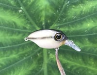 Image 3 of SPEEDBAITS Custom Airbrushed Crankbait BFS 3538