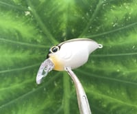 Image 4 of SPEEDBAITS Custom Airbrushed Crankbait BFS 3538