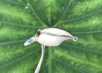 Image 5 of SPEEDBAITS Custom Airbrushed Crankbait BFS 3538