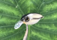 Image 6 of SPEEDBAITS Custom Airbrushed Crankbait BFS 3538