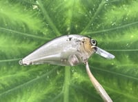 Image 2 of SPEEDBAITS Custom Airbrushed LC2.5 Squarebill Crankbait 3811