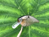 Image 1 of SPEEDBAITS Custom Airbrushed LC2.5 Squarebill Crankbait 3811