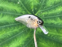 Image 4 of SPEEDBAITS Custom Airbrushed LC2.5 Squarebill Crankbait 3811